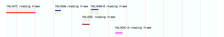 CDS detail