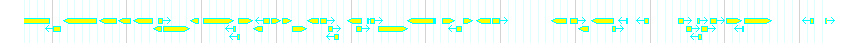 Genes detail
