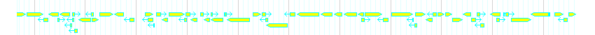Genes detail