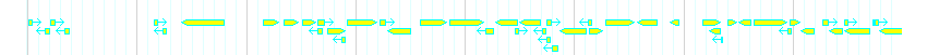 Genes detail