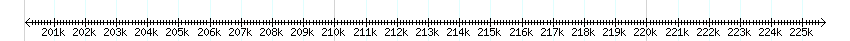 __scale__ detail