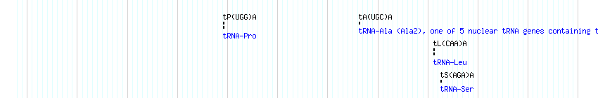 tRNAs detail