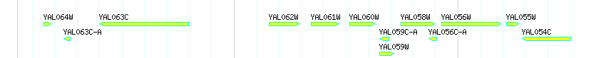 Genes detail