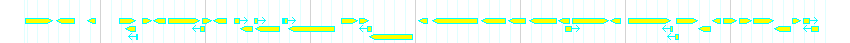 Genes detail