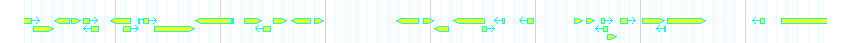 Genes detail