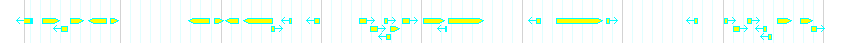 Genes detail