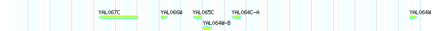 Genes detail
