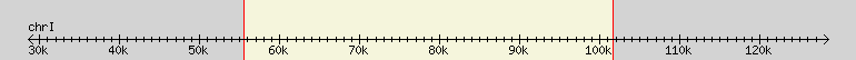 __scale__ region