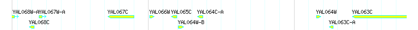 Genes detail