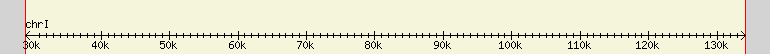 __scale__ region