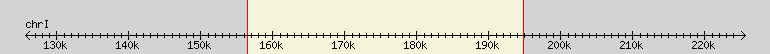 __scale__ region