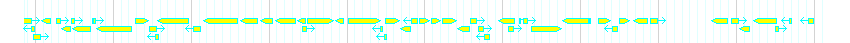 Genes detail