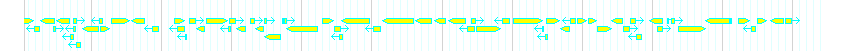Genes detail