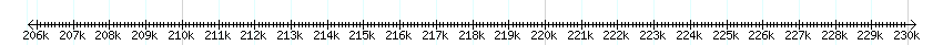 __scale__ detail