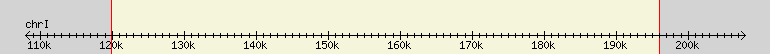 __scale__ region