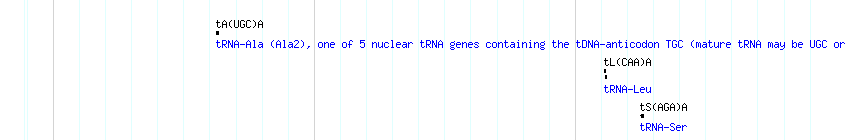 tRNAs detail
