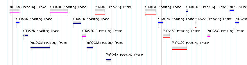 CDS detail