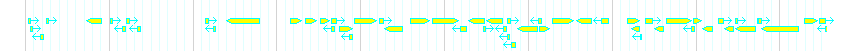 Genes detail