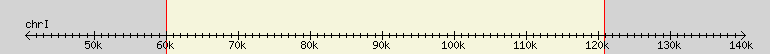 __scale__ region