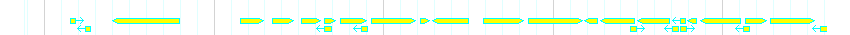 Genes detail