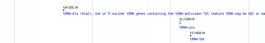 tRNAs detail