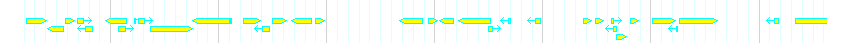Genes detail