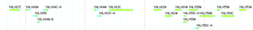 Genes detail