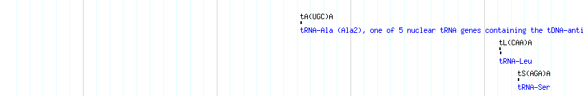 tRNAs detail
