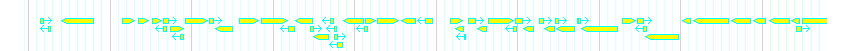 Genes detail