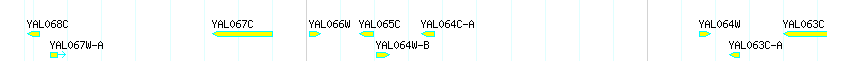 Genes detail
