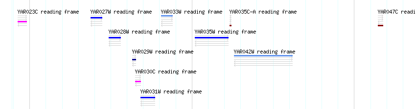 CDS detail