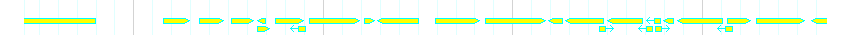 Genes detail