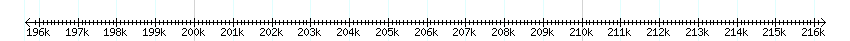 __scale__ detail