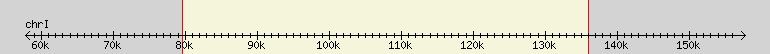 __scale__ region