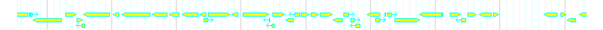 Genes detail