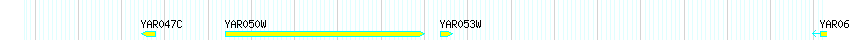 Genes detail