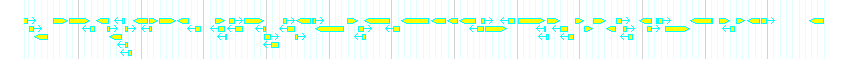 Genes detail