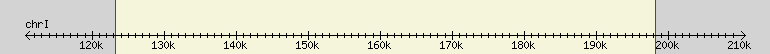 __scale__ region