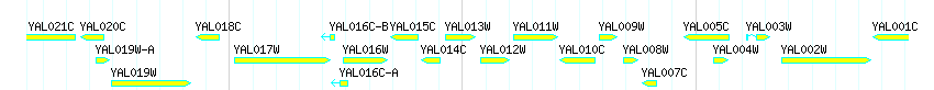 Genes detail