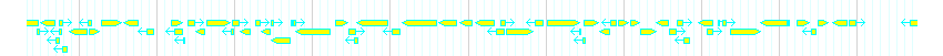 Genes detail