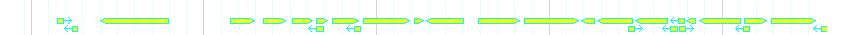 Genes detail