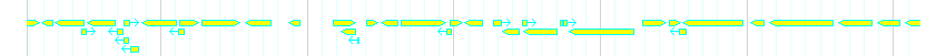 Genes detail