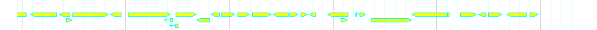 Genes detail