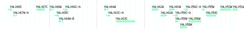 Genes detail