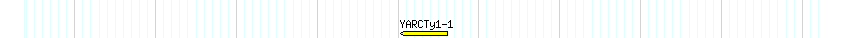 Transp detail
