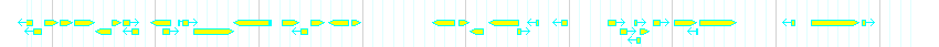 Genes detail