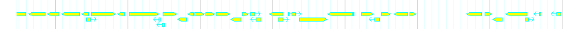 Genes detail