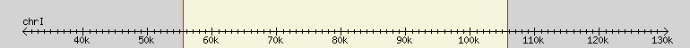 __scale__ region