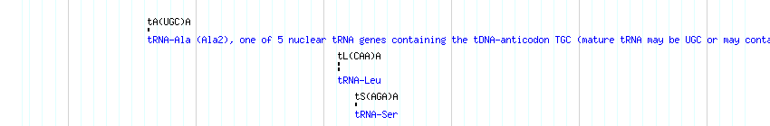 tRNAs detail