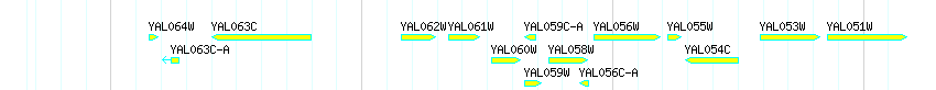 Genes detail